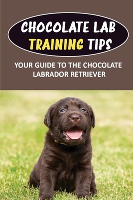 Chocolate Lab Training Tips: Your Guide To The Chocolate Labrador Retriever: Labrador Obedience Training