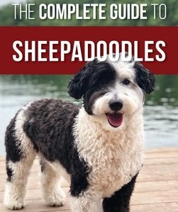 The Complete Guide to Sheepadoodles: Finding, Raising, Training, Feeding, Socializing, and Loving Your New Sheepadoodle Puppy