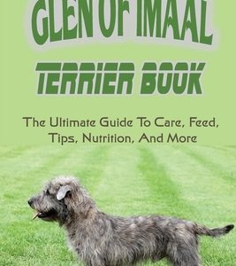 Glen of Imaal Terrier Book: The Ultimate Guide To Care, Feed, Tips, Nutrition, And More: How To Train Your Glen Of Imaal Terrier