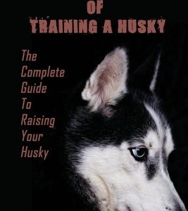 Principles Of Training A Husky: The Complete Guide To Raising Your Husky: Master The Skill Of Husky Training