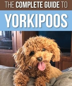 The Complete Guide to Yorkipoos: Choosing, Preparing For, Raising, Training, Feeding, and Loving Your New Yorkipoo Puppy