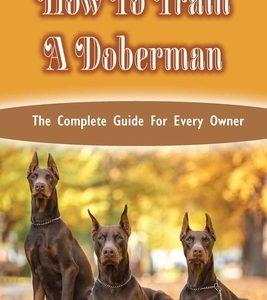 How To Train A Doberman: The Complete Guide For Every Owner: Doberman Diet And Nutrition