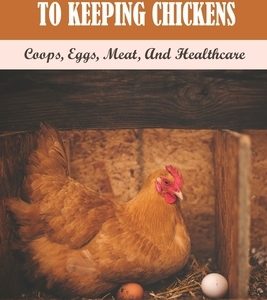 A Complete Basic Guide To Keeping Chickens: Coops, Eggs, Meat, And Healthcare: Guide On Keeping A Productive Laying Flock