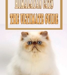 Himalayan Cats The Ultimate Guide: Care, Cost, Keeping, Health, Supplies, Food, Breeding and More: Himalayan Cat Buying Guide