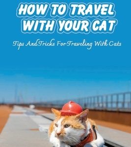 How To Travel With Your Cat: Tips And Tricks For Traveling With Cats: Tips For Traveling With Cats