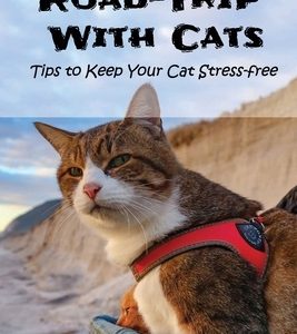 Road-Trip With Cats: Tips to Keep Your Cat Stress-free: Is It A Good Idea To Travel With Your Cat?