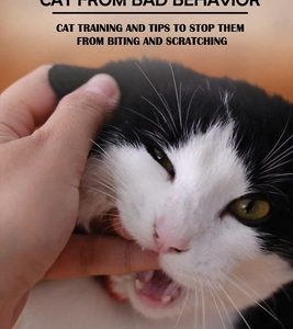 Stopping Your Cat From Bad Behavior: Cat Training And Tips To Stop Them From Biting And Scratching: How To Train Your Cat To Sit