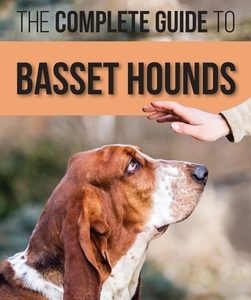 The Complete Guide to Basset Hounds: Choosing, Raising, Feeding, Training, Exercising, and Loving Your New Basset Hound Puppy