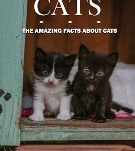 Cats: The Amazing Facts About Cats: Fascinating Facts About Pussy
