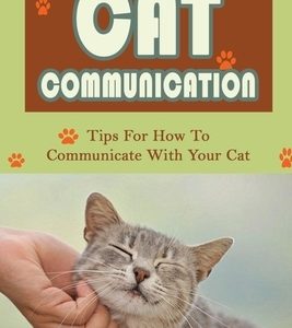 Cat Communication: Tips For How To Communicate With Your Cat: Do Cats Understand When You Talk To Them?