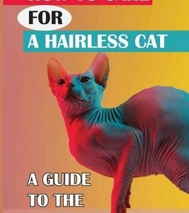 How To Care For A Hairless Cat: A Guide To The Sphynx Cat: Sphynx Cat Breed Information