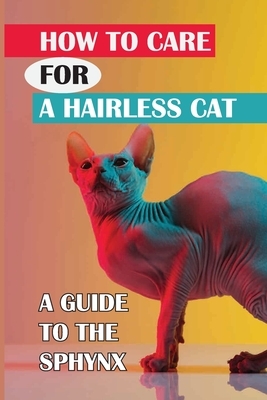 How To Care For A Hairless Cat: A Guide To The Sphynx Cat: Sphynx Cat Breed Information