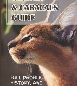 Servals & Caracals Guide: Full Profile, History, And Care: Why Servals Should Not Be Pets?