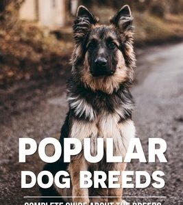 Popular Dog Breeds: Complete Guide About The Breeds: What Are The American Dog Breeds