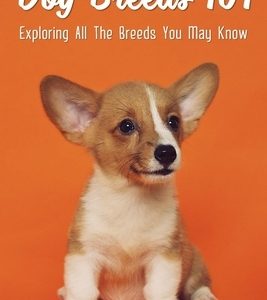 Dog Breeds 101: Exploring All The Breeds You May Know: Dog Breeds With Interesting History
