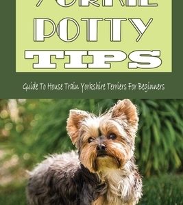 Yorkie Potty Tips: Guide To House Train Yorkshire Terriers For Beginners: How Do You Take Care Of A Yorkie Puppy?