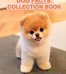 Amazing True Dog Facts Collection Book: Everything You Need To Know About Dog Breeds: How To Understand The Behaviour Of Every Dog Breed