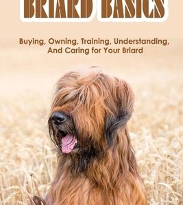 Briard Basics: Buying, Owning, Training, Understanding, And Caring for Your Briard: What Age Is A Briard Fully Grown?