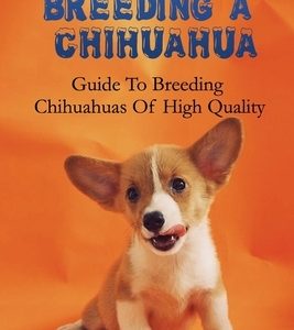 Breeding A Chihuahua: Guide To Breeding Chihuahuas Of High Quality: Chihuahua Dog Breed Information