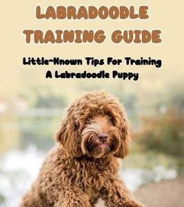 The Labradoodle Training Guide: Little-Known Tips For Training A Labradoodle Puppy: How Do You Discipline A Labradoodle