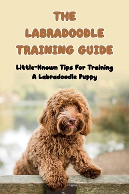 The Labradoodle Training Guide: Little-Known Tips For Training A Labradoodle Puppy: How Do You Discipline A Labradoodle