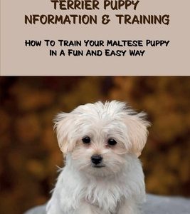 Maltese Terrier Puppy Information & Training: How To Train Your Maltese Puppy In A Fun And Easy Way: Maltese Terrier Breed Guide