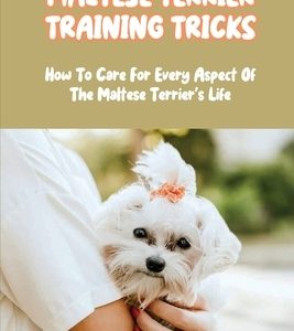 Maltese Terrier Training Tricks: How To Care For Every Aspect Of The Maltese Terrier's Life: A Complete Guide To Maltese Terrier