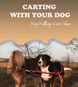 Carting With Your Dog: Dog Pulling Cart Ideas: What Are The Basic Dog Commands?