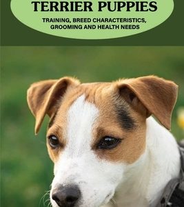 Jack Russell Terrier Puppies: Training, Breed Characteristics, Grooming And Health Needs: Jack Russell Terriers For Dummies