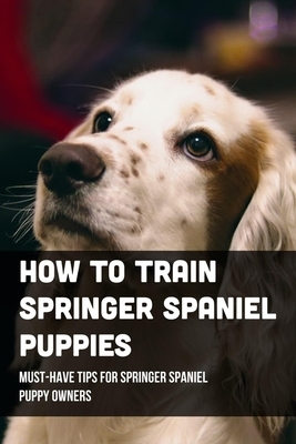 How To Train Springer Spaniel Puppies: Must-Have Tips For Springer Spaniel Puppy Owners: Raising A Springer Spaniel Puppy