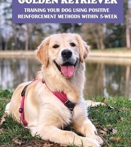 Training Your Golden Retriever: Training Your Dog Using Positive Reinforcement Methods Within 5-Week: Benefits Of Positive Reinforcement