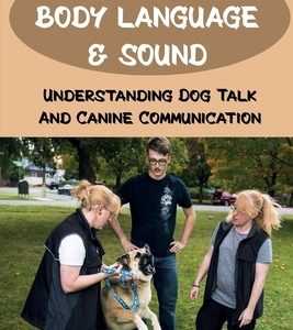Dog Body Language & Sound: Understanding Dog Talk And Canine Communication: Understanding Your Dog For Dummies