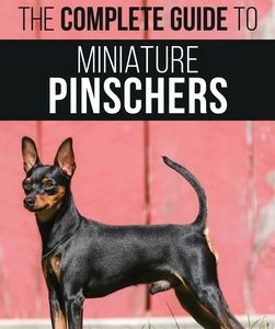 The Complete Guide to Miniature Pinschers: Training, Feeding, Socializing, Caring for and Loving Your New Min Pin Puppy