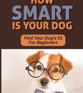 How Smart Is Your Dog: Find Your Dog's IQ For Beginners: Signs Your Dog Is Really Smart