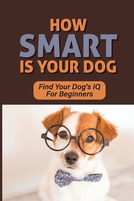 How Smart Is Your Dog: Find Your Dog's IQ For Beginners: Signs Your Dog Is Really Smart