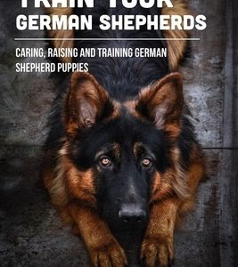 Train Your German Shepherds: Caring, Raising And Training German Shepherd Puppies: Crating Training For German Shepherd Puppy
