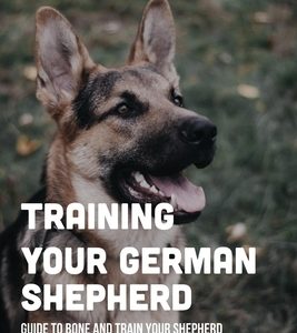 Training Your German Shepherd: Guide To Bone And Train Your Shepherd: How To Train A German Shepherd To Behave