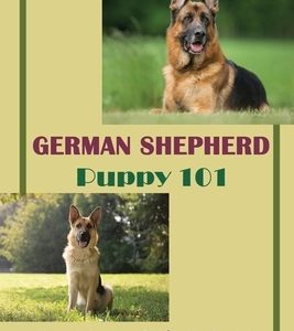 German Shepherd Puppy 101: The Ultimate Guide To Training Your German Shepherd Puppy: German Shepherd Guide Book
