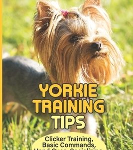 Yorkie Training Tips: Clicker Training, Basic Commands, Hand Cues, Socializing, And More: How To Train A Yorkie Terrier