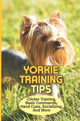 Yorkie Training Tips: Clicker Training, Basic Commands, Hand Cues, Socializing, And More: How To Train A Yorkie Terrier