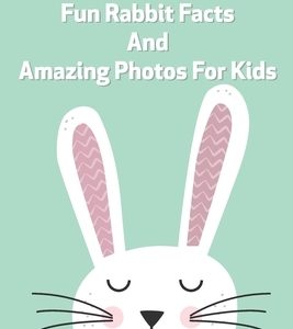 Animal Facts Book Fun Rabbit Facts And Amazing Photos For Kids: Bunnies Have Big Ears