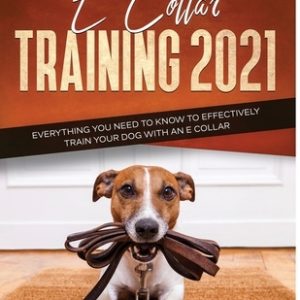 E Collar Training2021: Everything You Need to Know to Effectively Train Your Dog with an E Collar