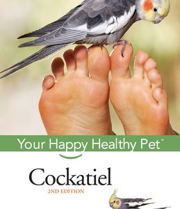Cockatiel: Your Happy Healthy Pet