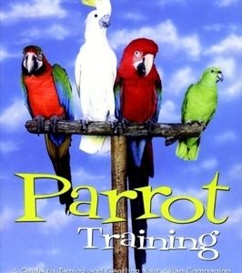 Parrot Training: A Guide to Taming and Gentling Your Avian Companion