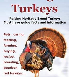 Heritage Turkeys. Raising Heritage Breed Turkeys Must Have Guide Facts and Information Pets, Caring, Feeding, Farming, Buying, Recipe, Breeding, Bourb