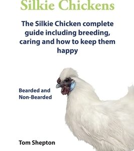 Silkie Chickens A Complete Guide To Caring And Breeding.