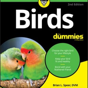 Birds for Dummies