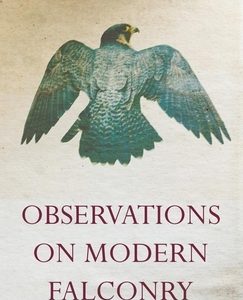 Observations on Modern Falconry