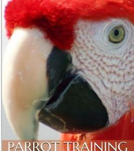 Parrot Training and Behavior 101