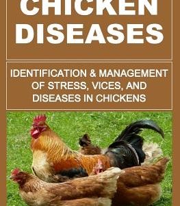 Chicken Diseases: Identification And Management of Stress, Vices, And Diseases In Chickens